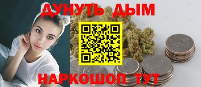 сатива Будённовск