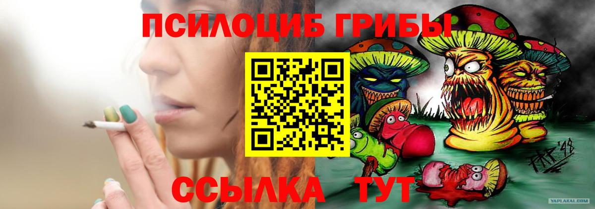 Псилоцибиновые грибы мицелий  Вход с VPN  Реж 